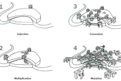 Présentation PowerPoint
